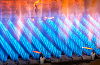 Bramshaw gas fired boilers